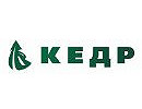 Кедр
